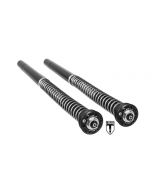 BLACK-T Cartridge Kit Stage4 für BMW RnineT (2014-2020)