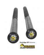 Touratech Suspension Cartridge Kit Extreme für BMW F800GS 2008 - 2012