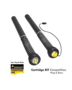 Touratech Suspension Competition Plug & Race Cartridge per BMW S1000RR a partire dal 2015