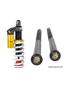Touratech Suspension +20mm Höherlegungsset für BMW F900GS Extreme2 mit Cartridge Extreme